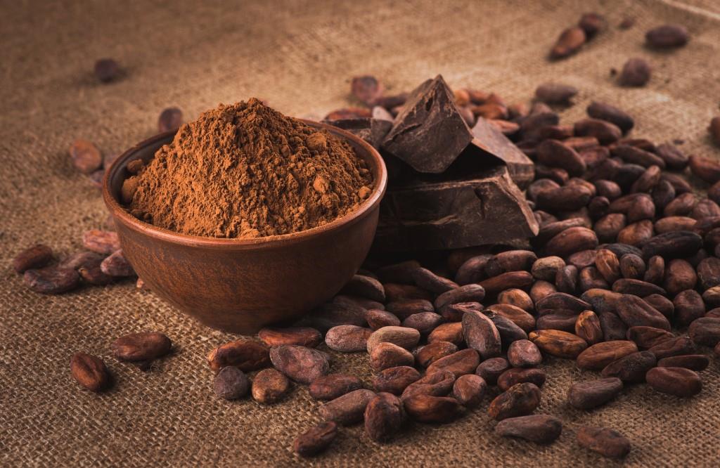 olam food ingredients turns cocoa shells into power to fuel factory