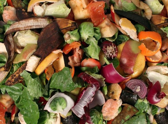 Minus acquires Future Waste to fight food waste across Canada