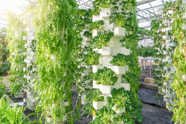 Upward Farms reveals plans for world’s largest indoor vertical farm