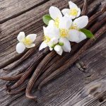shutterstock_402421951