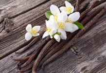 vanilla