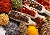 Mazza Innovation expands drying technology with federal investment