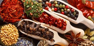 Mazza Innovation expands drying technology with federal investment
