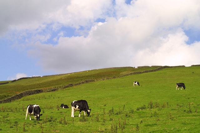 Lidl GB to invest £4bn into British food industry in 2023