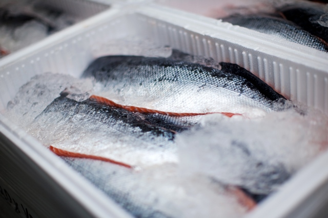 Global seafood industry braces for 14% surge in demand by 2030, opening prospects for seafood substitutes