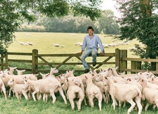 Sainsbury’s supports British farmers with new season lamb commitment