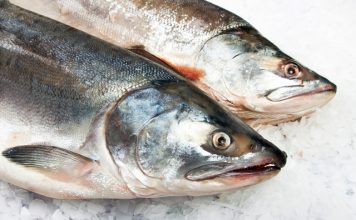 Fortuna acquires Ocean Fish Group