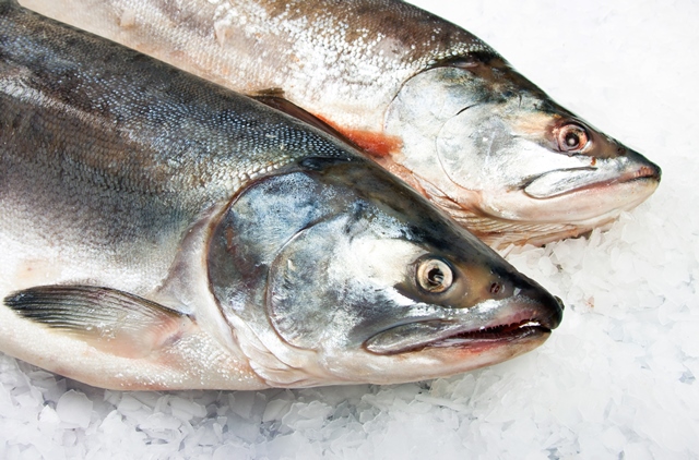 Seafood industry boosted by research into freeze/thaw process