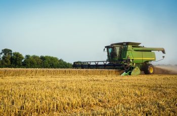 FDF launches handbook to help food sector achieve nature goals