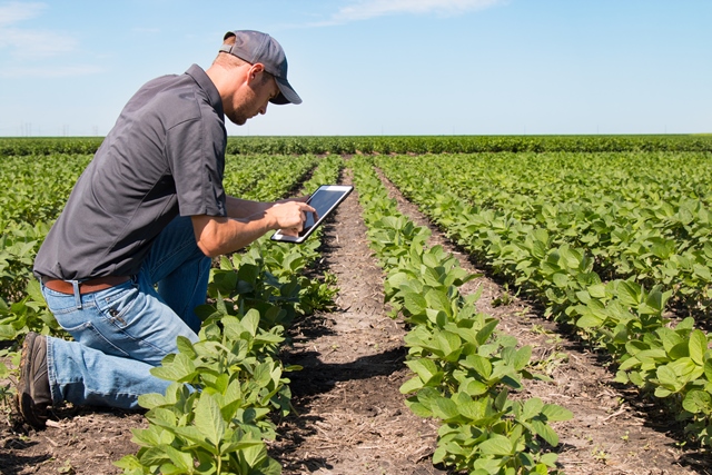 New research programme to transform food systems awarded £5.8m