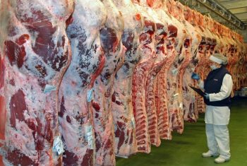Pakistan makes landmark meat export deal with UAE