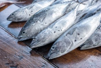 Japan seeks South Korea seafood trade revival