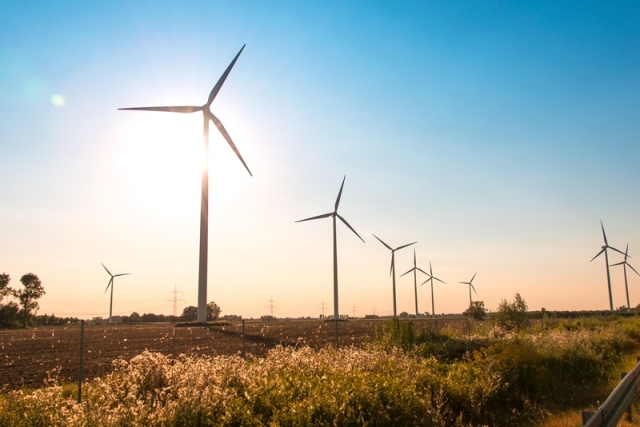 Pilgrim’s UK to invest over £10m into sustainability