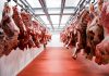 Review launched into UK’s cutting plants and cold stores