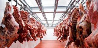 Review launched into UK’s cutting plants and cold stores