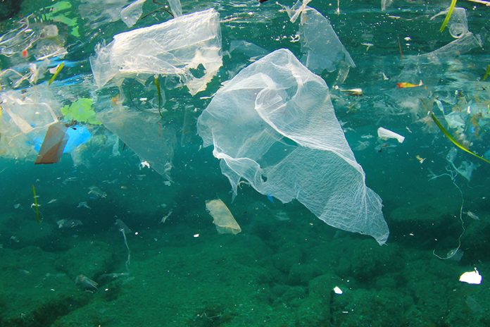 Tesco to use discarded plastic from coastal areas in fresh fish packaging