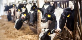 Cargill continues efforts to reduce emissions in supply chains