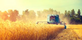 Extreme weather and geopolitics impacting food production