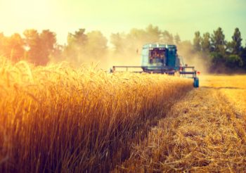Extreme weather and geopolitics impacting food production