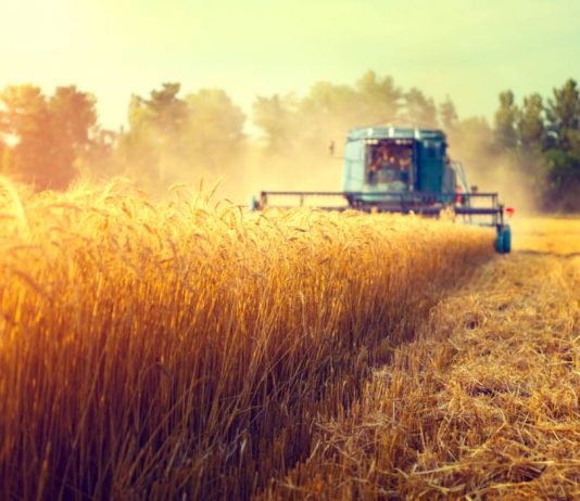 Extreme weather and geopolitics impacting food production