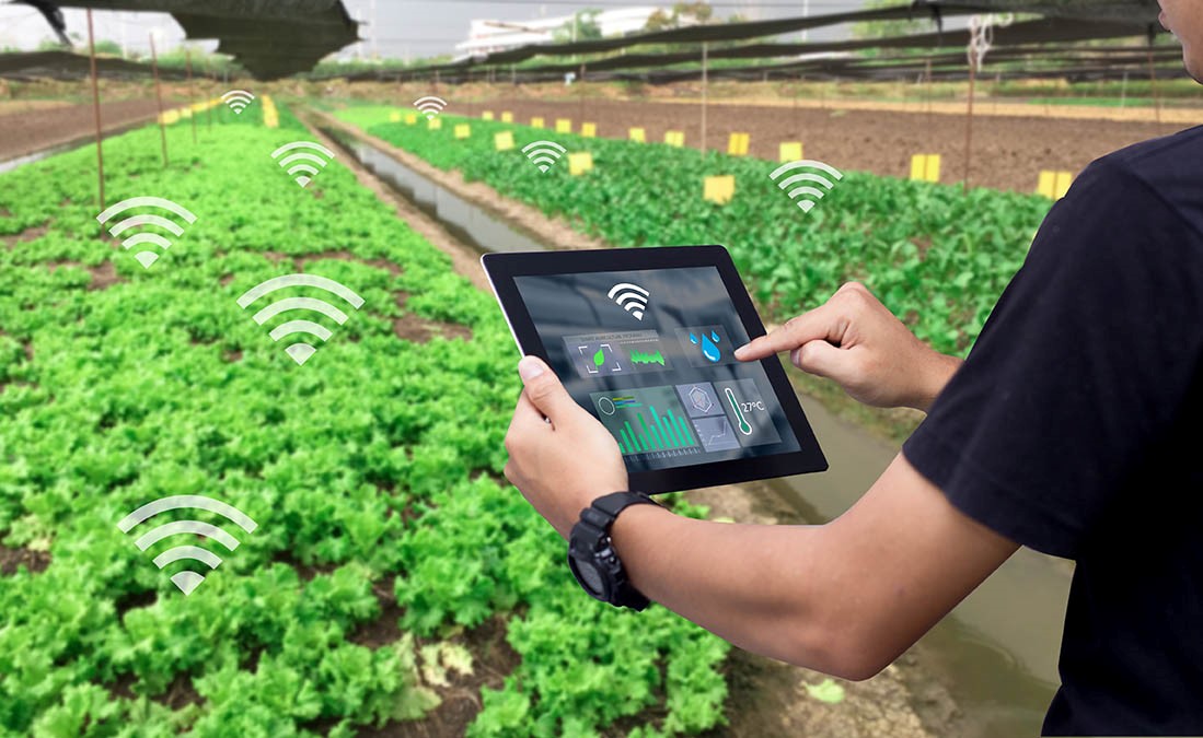 Yara & IBM using digital to 'transform' future of farming