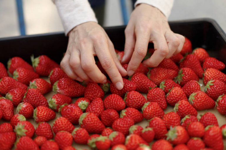 Succeeding as a business consultant within the food & beverage industry
