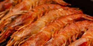 Waitrose developing food film from langoustine shells