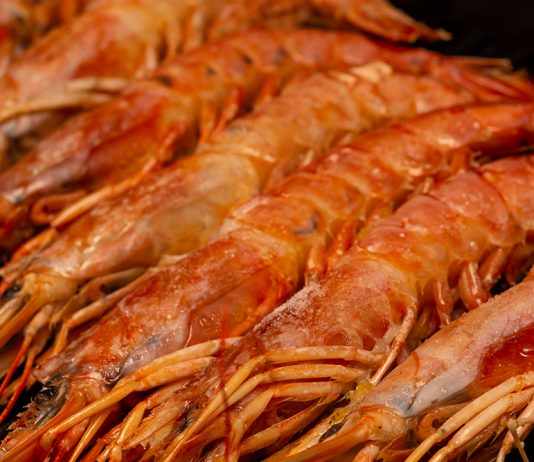 Waitrose developing food film from langoustine shells
