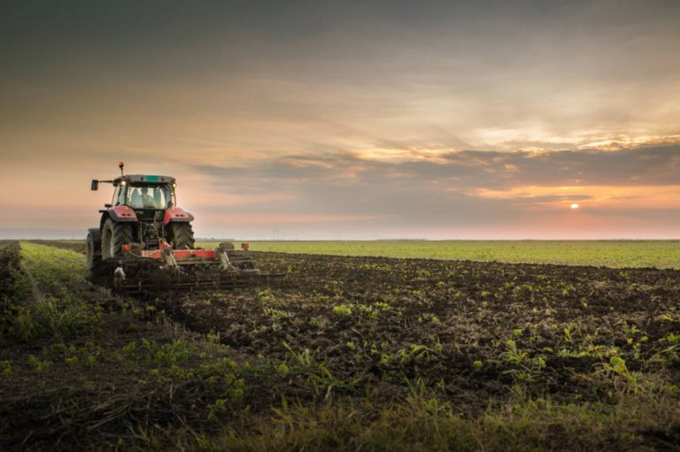 £4m initiative to drive reduction in greenhouse gases for agri-food industry