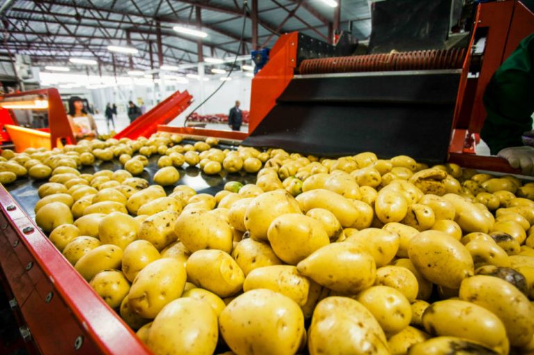 Walkers buys land for new potato washing plant