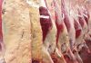 Uptick in cattle hitting market specs