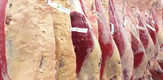 Uptick in cattle hitting market specs