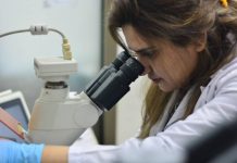 Company producing milk from cells secures pre-seed funding