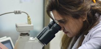 Company producing milk from cells secures pre-seed funding