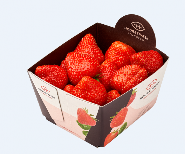 Hoogstraten takes sustainability to the next level with packaging LCA tool