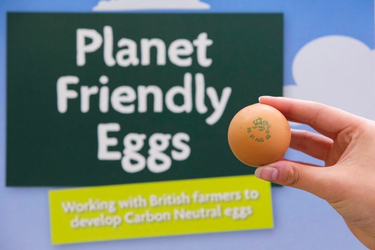 Morrisons launches its own carbon neutral eggs
