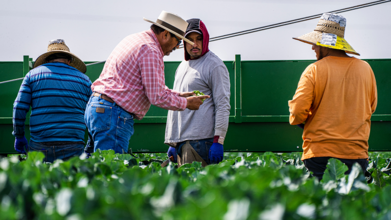 Nearly 10% of food goes to waste in the supply chain as managers bemoan damaged and excess inventory