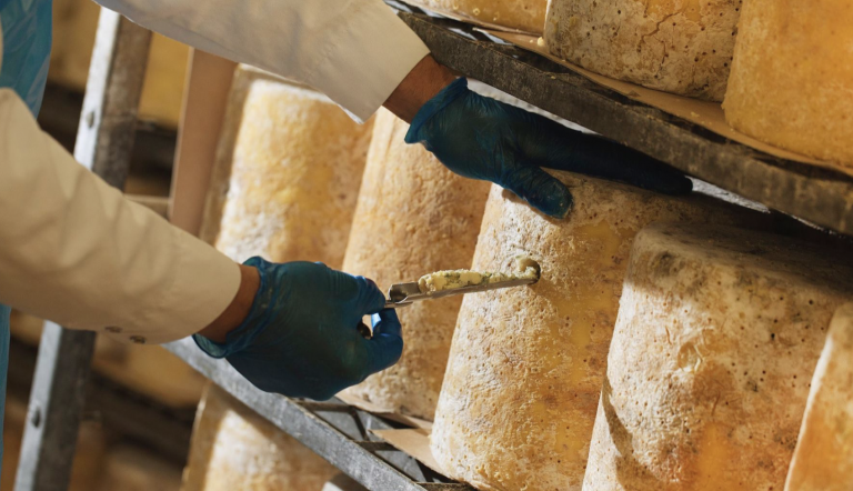 Stilton producer gets share in £12m from UK Government to cut emissions and energy costs