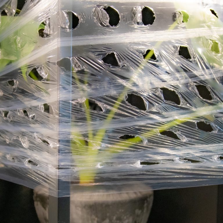 Kite Packaging launches ventilated pallet wrap