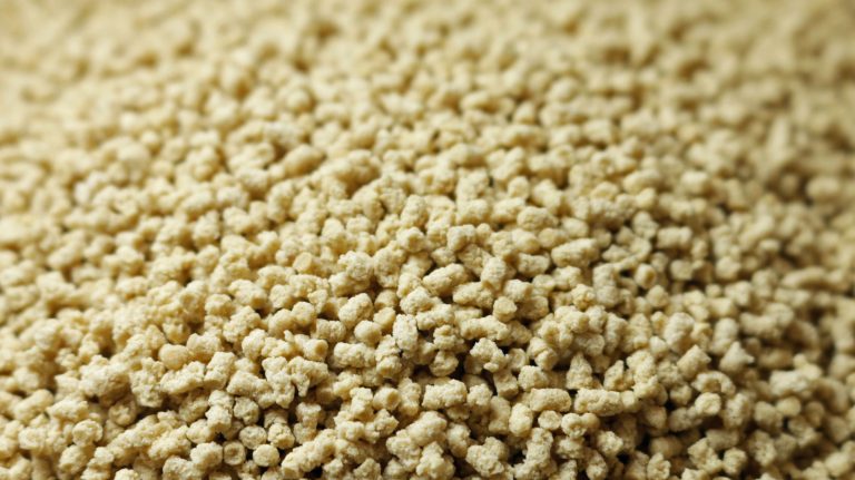 Loryma expands portfolio of high-protein crispies Lory® IsoCrisp with wheat variant