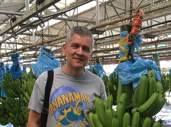 AI research helps banana industry in Costa Rica