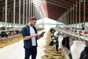 UK farmers set for smoother dairy exports to Egypt