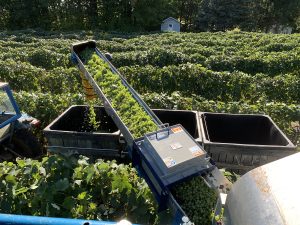 Eriez launches online storefront for magnetic separation and material handling equipment