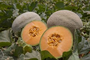 Fyffes sells Sol melon business to Martori