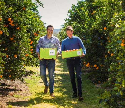 OSY Group expands global footprint with fruit packaging partnership in South Africa and Namibia